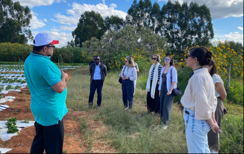 Assentamento Chapadinha recebe delegação internacional para vivência na agricultura familiar